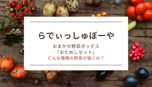 【体験ブログ】”らでぃっしゅぼーや”おまかせ野菜ボックスおためしセット！