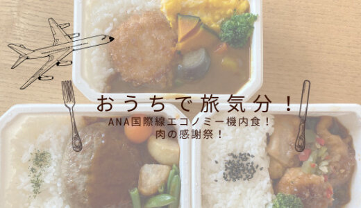 【口コミ】おうちで旅気分！ANA国際線エコノミ―クラス機内食！肉の感謝祭！