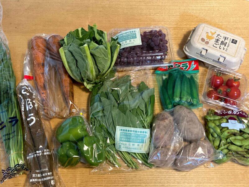 「らでぃっしゅぼーや」野菜の定期配送ぱれっと。野菜10種S＋果物、卵付き